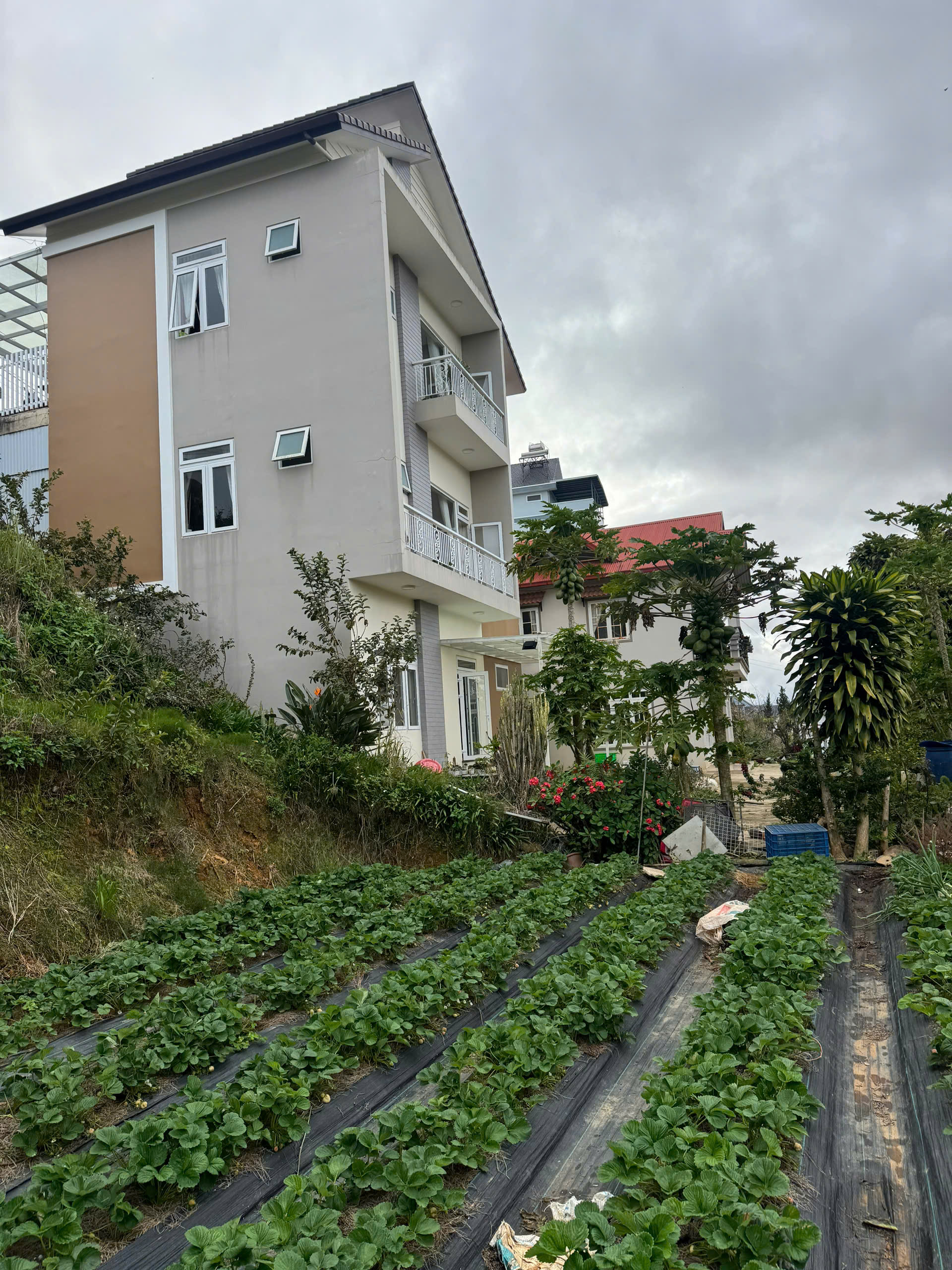 Cho thuê văn phòng tại Cantavil Premier, Tầng 9 – An Phú, TP. Thủ Đức (Q2 cũ), TP. HCM