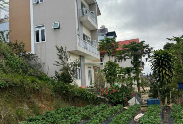 SUẤT ĐẦU TƯ HIẾM – 611m² P7 ĐÀ LẠT VIEW SĂN MÂY – HOÀNG HÔN ĐỈNH CAO – GIÁ 14,9 TỶ