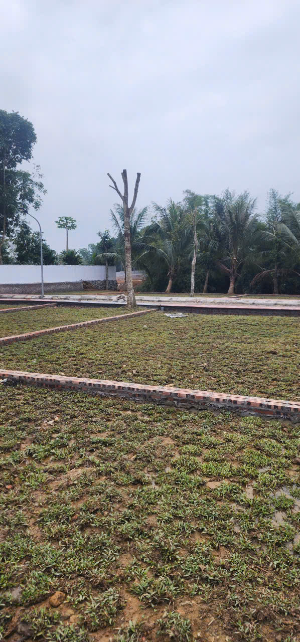 LÔ ĐẤT KIM BÔI – GIAI ĐOẠN 1 VỪA MỞ BÁN, THANH KHOẢN RẤT TỐT