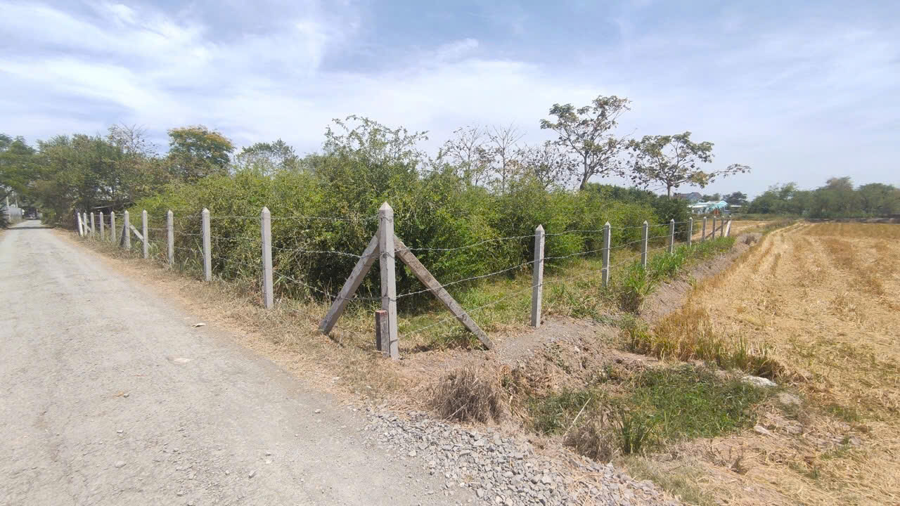 CHÍNH CHỦ BÁN ĐẤT MẶT TIỀN ĐƯỜNG NGUYỄN THÌN – XÃ BÌNH ÂN, GÒ CÔNG ĐÔNG