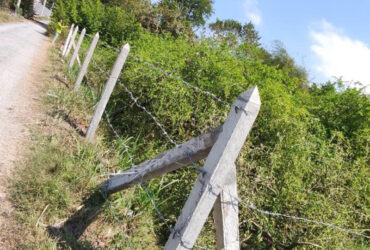 CHÍNH CHỦ BÁN ĐẤT MẶT TIỀN ĐƯỜNG NGUYỄN THÌN – XÃ BÌNH ÂN, GÒ CÔNG ĐÔNG