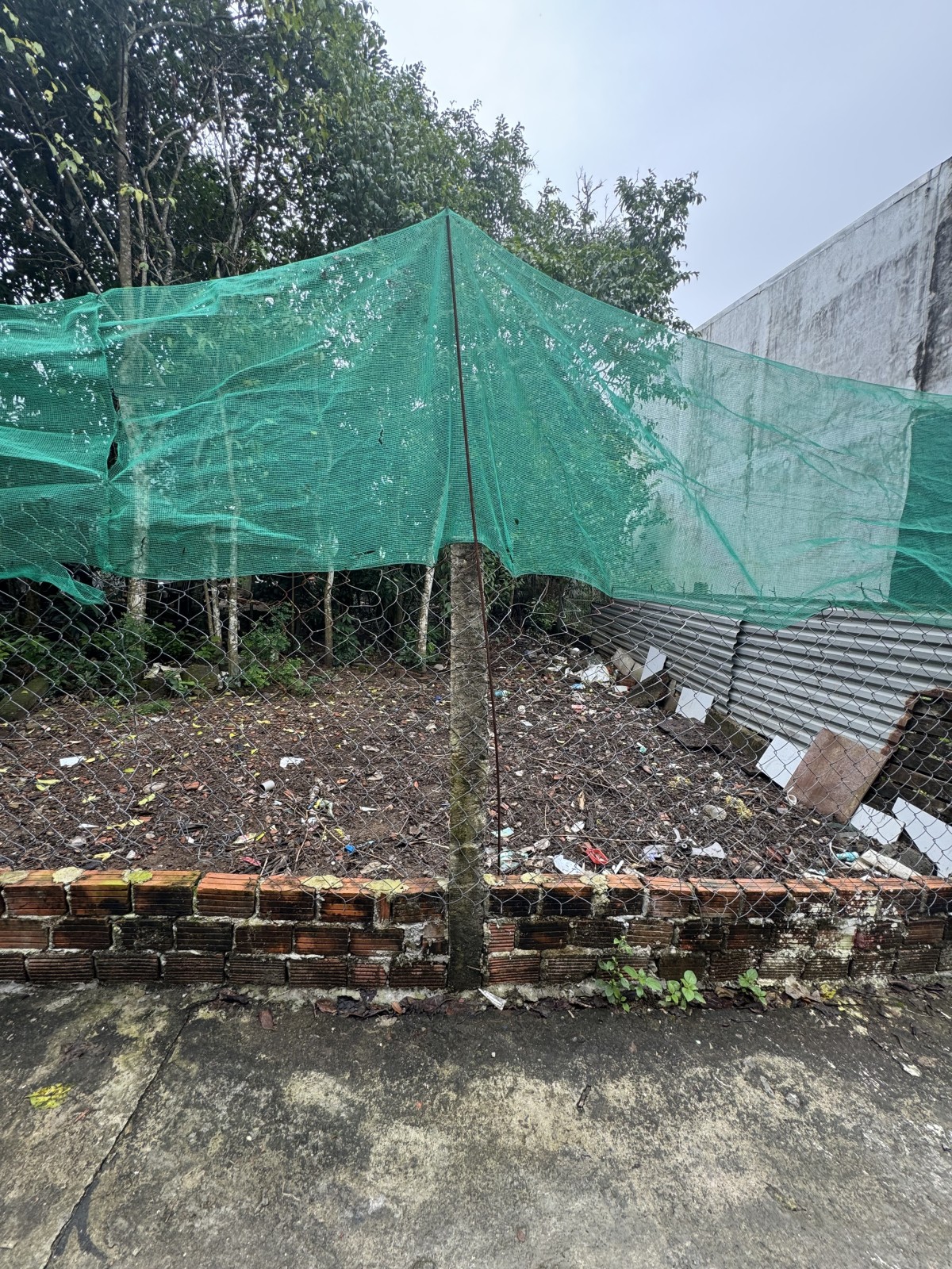 🌟 ĐẤT ĐẸP – KIỆT Ô TÔ HÒA THỌ TÂY – 111,5m² – GIÁ CHỈ 2,68 TỶ!