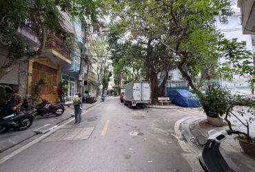 Bán Nhà KĐT Đầm Trấu 44/50m2.  5 tầng. mặt tiền 3.6m. giá 20 tỷ Hai Bà Trưng Hà Nội