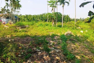 Chủ kẹt tiền cần bán lô đất tại MT đường DX 017 có 1000 m² đất ở., Cẩm Thanh giá 18 tỷ