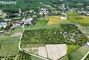 ĐẤT VƯỜN KHÁNH HOÀ CHỈ 380K/MÉT