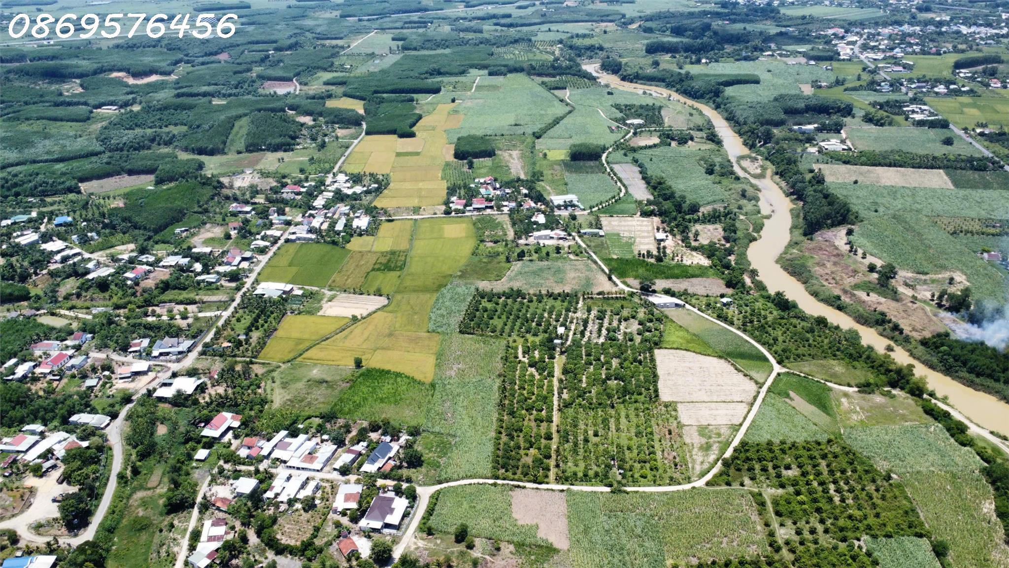 CẦN BÁN ĐẤT VƯỜN GIÁ RẺ TẠI KHÁNH HOÀ