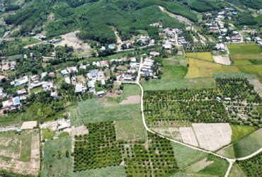 BÁN ĐẤT VƯỜN NGAY KHU DÂN CƯ TẠI KHÁNH HOÀ