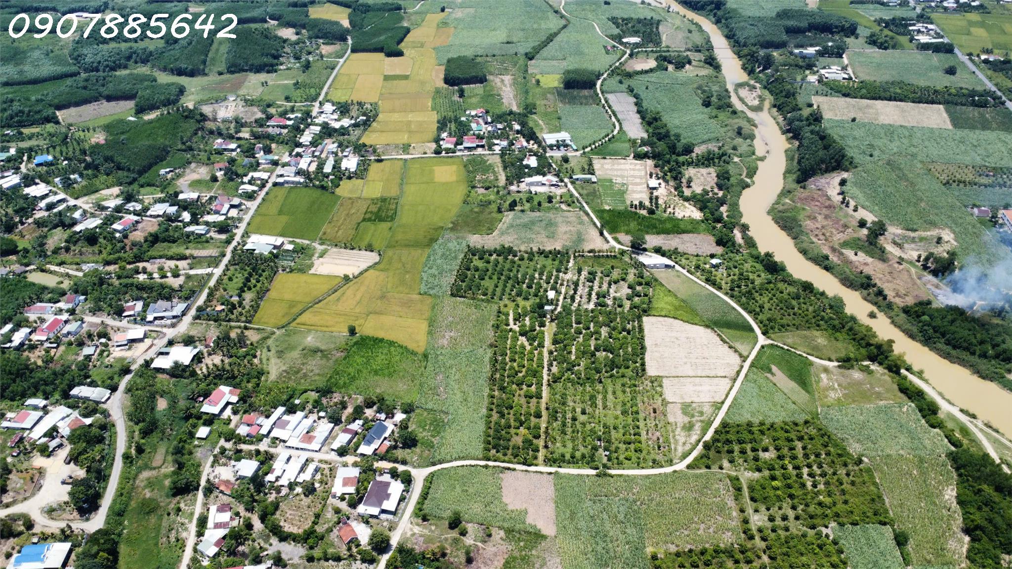 CẦN BÁN MẢNH ĐẤT VƯỜN TẠI X.DIÊN LÂM – KHÁNH HOÀ