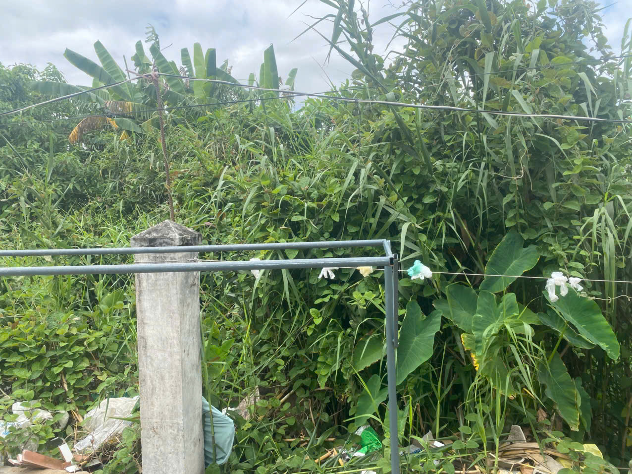 CHÍNH CHỦ BÁN ĐẤT DIỆN TÍCH LỚN – PHƯỜNG MỸ PHƯỚC, TP LONG XUYÊN, AN GIANG