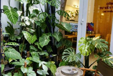 PHÚ NHUẬN nhà 3 TẦNG BTCT – 5 PHÚT QUA Q1- 50m RA MẶT TIỀN PHAN ĐÌNH PHÙNG – 9,850 TỶ TL