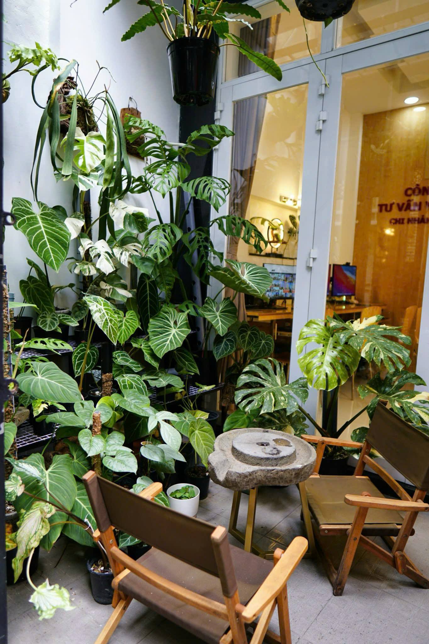 PHÚ NHUẬN nhà 3 TẦNG BTCT – 5 PHÚT QUA Q1- 50m RA MẶT TIỀN PHAN ĐÌNH PHÙNG – 9,850 TỶ TL