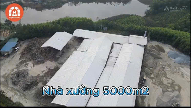 BÁN NHÀ XƯỞNG & DÂY CHUYỀN MÁY MÓC VIÊN NÉN GỖ HUYỆN HẠ HÒA, PHÚ THỌ