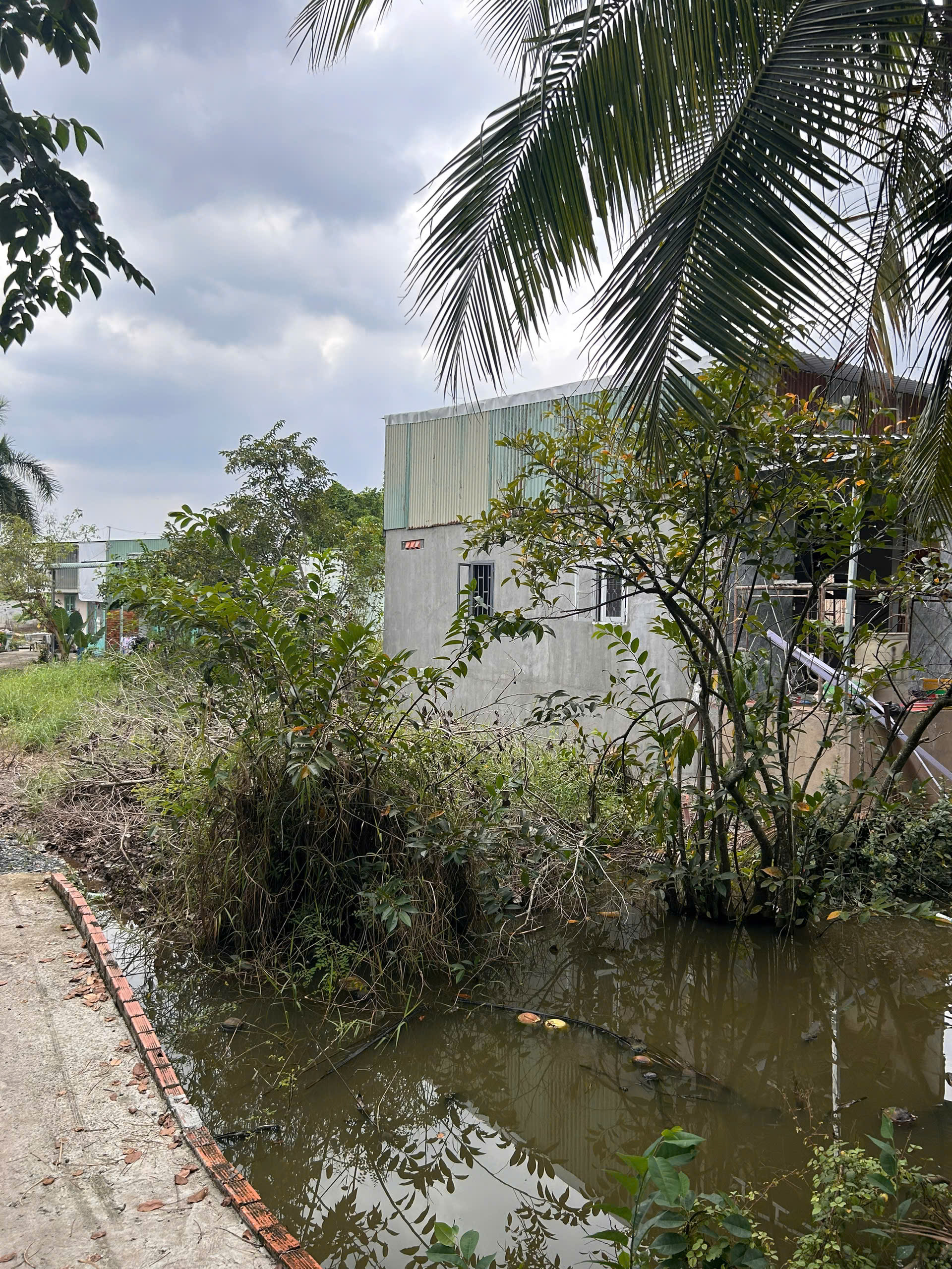 CHÍNH CHỦ BÁN ĐẤT NÔNG NGHIỆP QUY HOẠCH ĐẤT Ở – KHU DÂN CƯ HIỆN HỮU HƯNG LONG, BÌNH CHÁNH