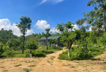 BÁN ĐẤT NGHỈ DƯỠNG TAM ĐẢO – ĐỐI DIỆN SÂN GOLF – DIỆN TÍCH LỚN, TIỀM NĂNG SINH LỜI CAO