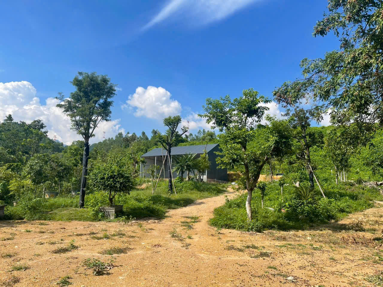 BÁN ĐẤT NGHỈ DƯỠNG TAM ĐẢO – ĐỐI DIỆN SÂN GOLF – DIỆN TÍCH LỚN, TIỀM NĂNG SINH LỜI CAO