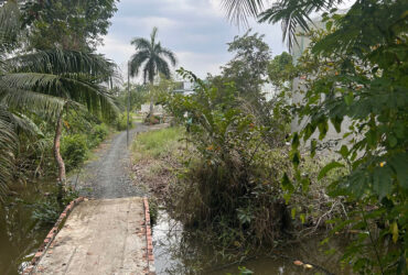 CHÍNH CHỦ BÁN ĐẤT NÔNG NGHIỆP QUY HOẠCH ĐẤT Ở – KHU DÂN CƯ HIỆN HỮU HƯNG LONG, BÌNH CHÁNH