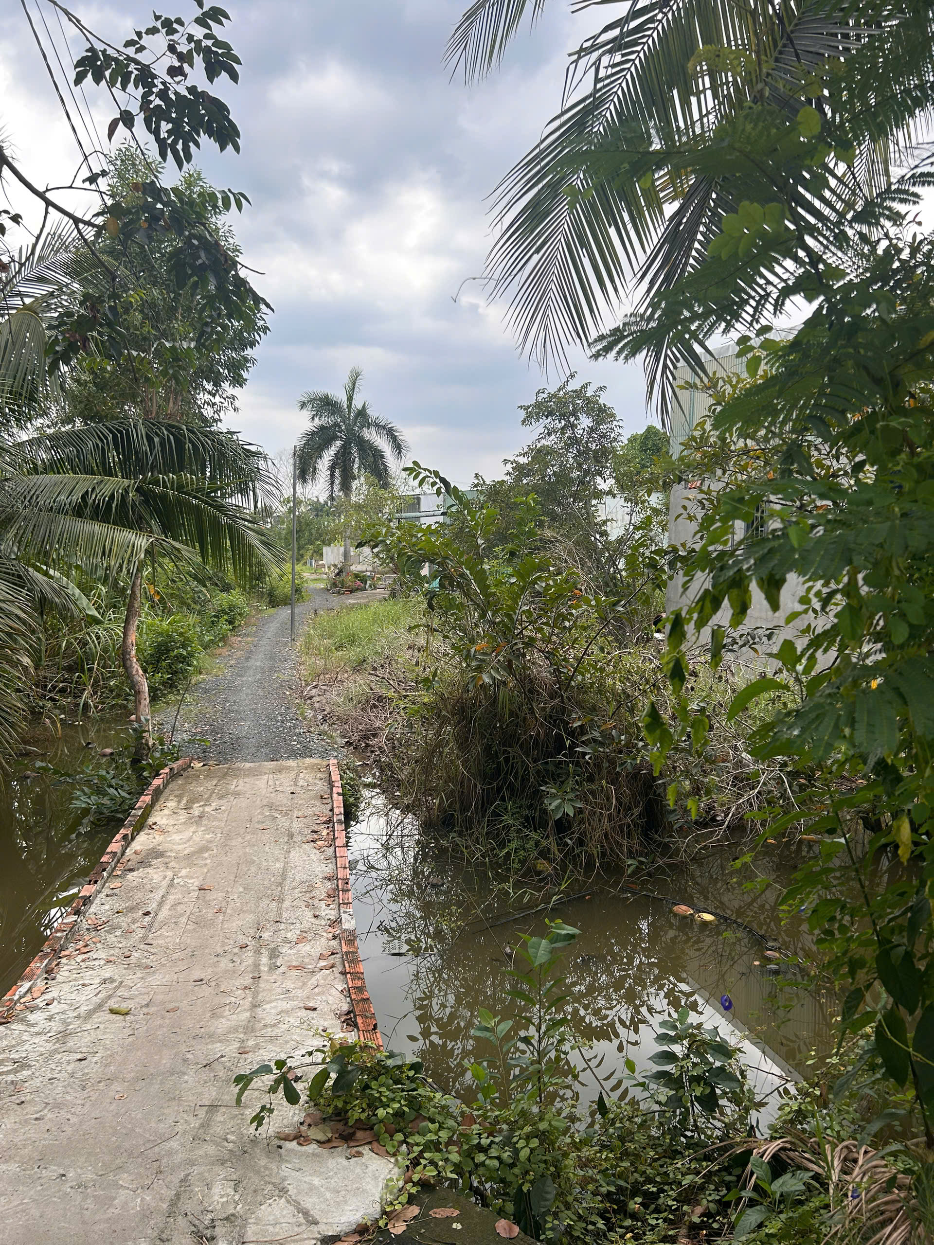 CHÍNH CHỦ BÁN ĐẤT NÔNG NGHIỆP QUY HOẠCH ĐẤT Ở – KHU DÂN CƯ HIỆN HỮU HƯNG LONG, BÌNH CHÁNH