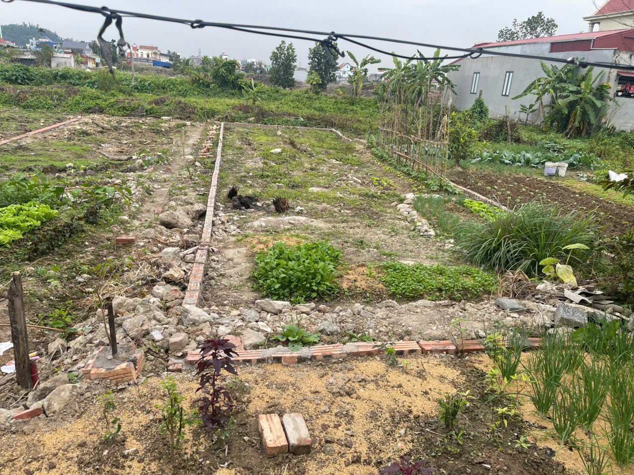 KIM ĐỚI 2 HỮU BẰNG KIẾN THỤY – GIÁ 1 TỶ 7xx – LÔ ĐẤT ĐẸP KHU DÂN CƯ  ZALO 0567 222 555