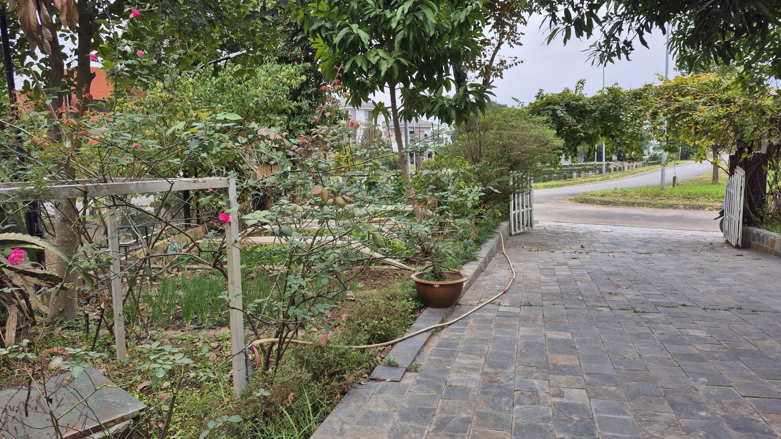 CHO THUÊ NHÀ SÂN VƯỜN SINH THÁI LỘC VỪNG – KHÔNG GIAN SỐNG XANH, RIÊNG TƯ, ĐẲNG CẤP