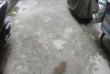 BÁN ĐẤT TẶNG NHÀ – VÕNG THỊ, TÂY HỒ – GIÁ TỐT –  Ngõ 8 Võng Thị – Tây Hồ – Hà Nội