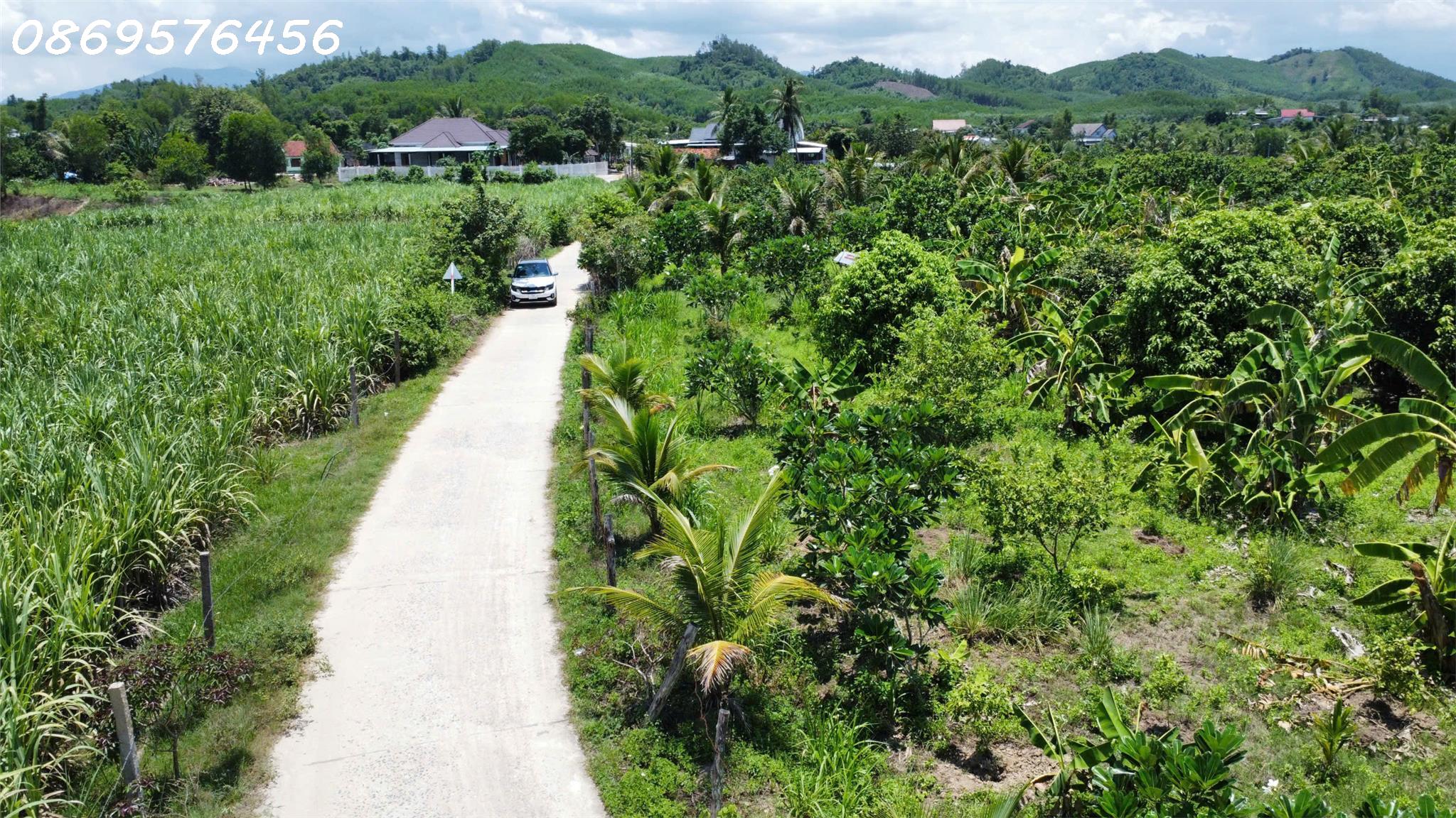 BÁN ĐẤT VƯỜN TẠI NHA TRANG KHÁNH HOÀ