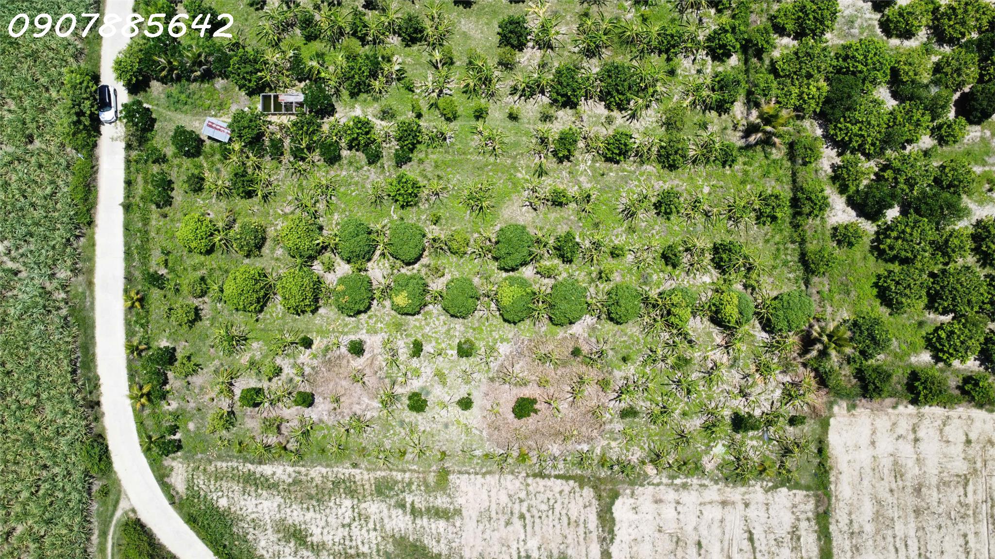 BÁN ĐẤT VƯỜN GIÁ RẺ KHÁNH HOÀ