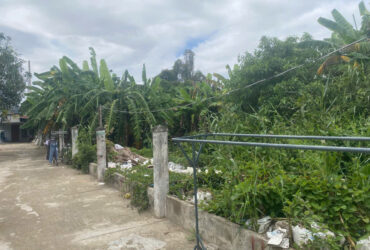 BÁN ĐẤT CHÍNH CHỦ DIỆN TÍCH LỚN – PHƯỜNG MỸ PHƯỚC, TP LONG XUYÊN, AN GIANG