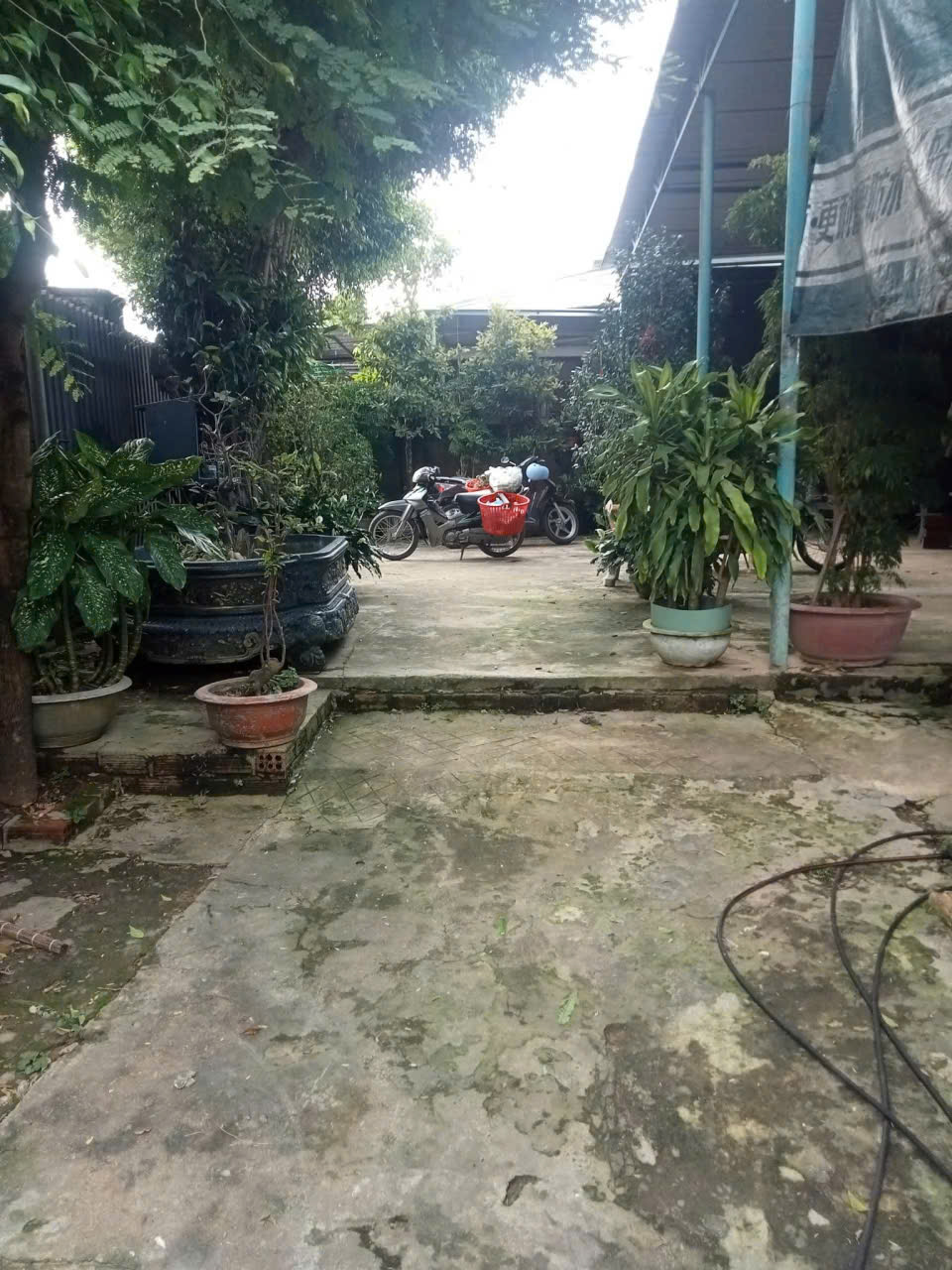 CHÍNH CHỦ CẦN BÁN GẤP LÔ ĐẤT THỔ CƯ – KHU DÂN CƯ ĐÔNG ĐÚC