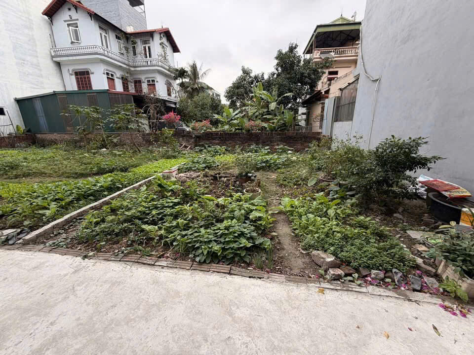 Đất Phúc Lợi  DT 73m – MT 7,6m  Giá đầu tư tiềm năng chỉ 9 tỷ  Oto thông cách đất 15m