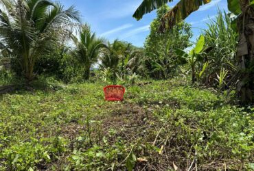 BÁN ĐẤT VƯỜN TẠI DIÊN LÂM KHÁNH HOÀ