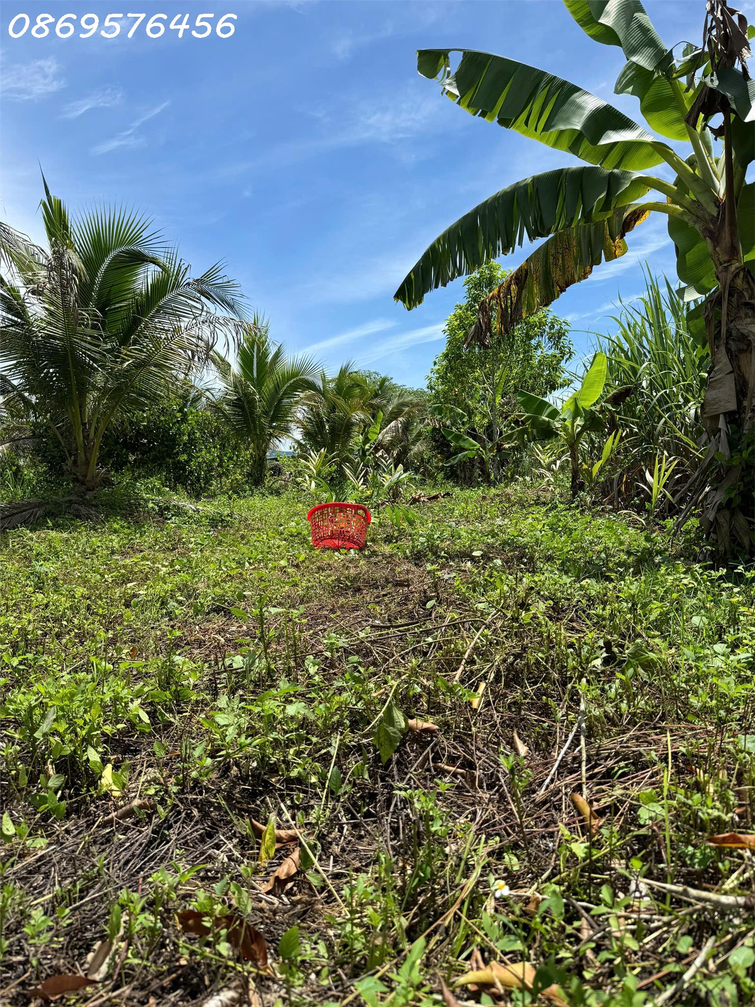 BÁN ĐẤT VƯỜN TẠI DIÊN LÂM KHÁNH HOÀ