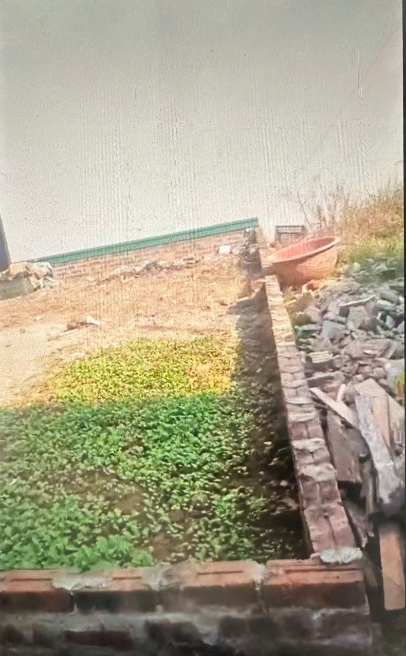 BÁN 52M GIÁ ĐẸP, ĐẤT BẮC HỒNG, ĐÔNG ANH, ĐƯỜNG RỘNG THÊNH THANG NHỈNH 4 TỶ XÍU