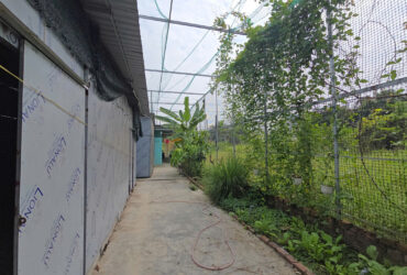 Chính chủ cho thuê mặt bằng đẹp  huyện Cần Giuộc, tỉnh Long An