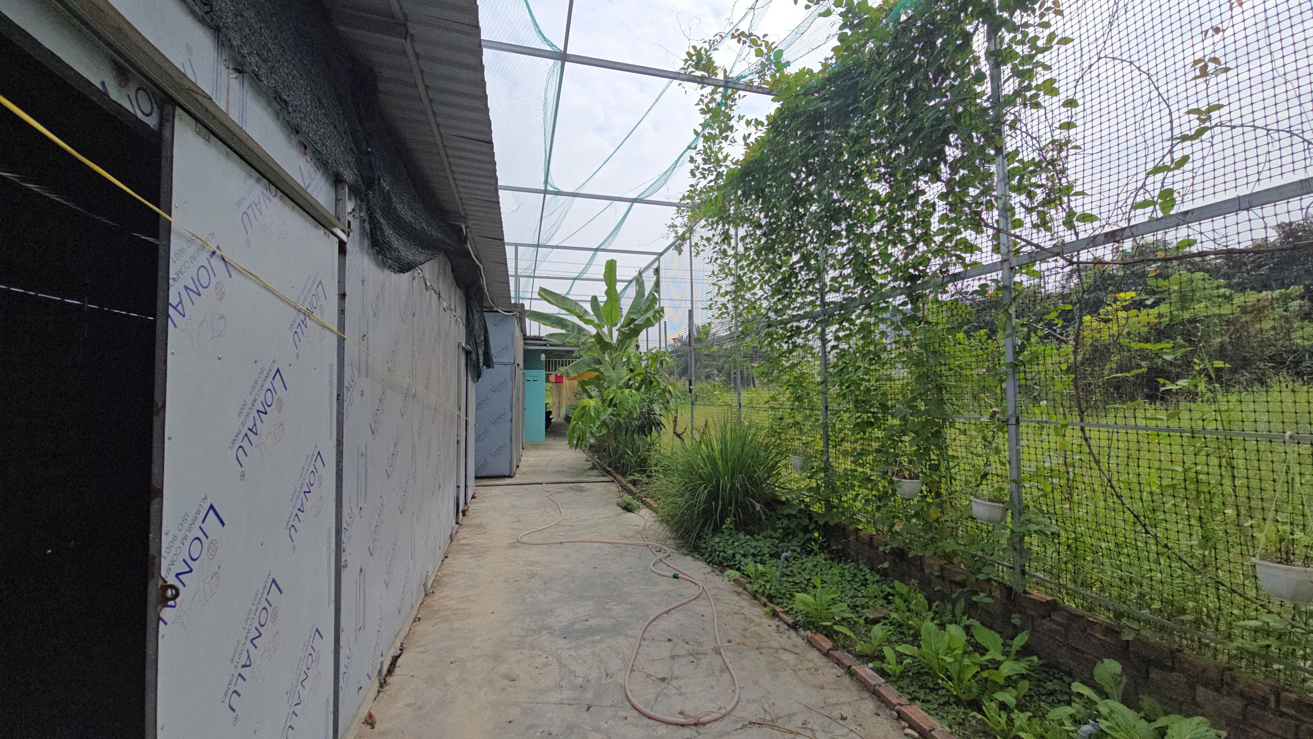 Chính chủ cho thuê mặt bằng đẹp  huyện Cần Giuộc, tỉnh Long An