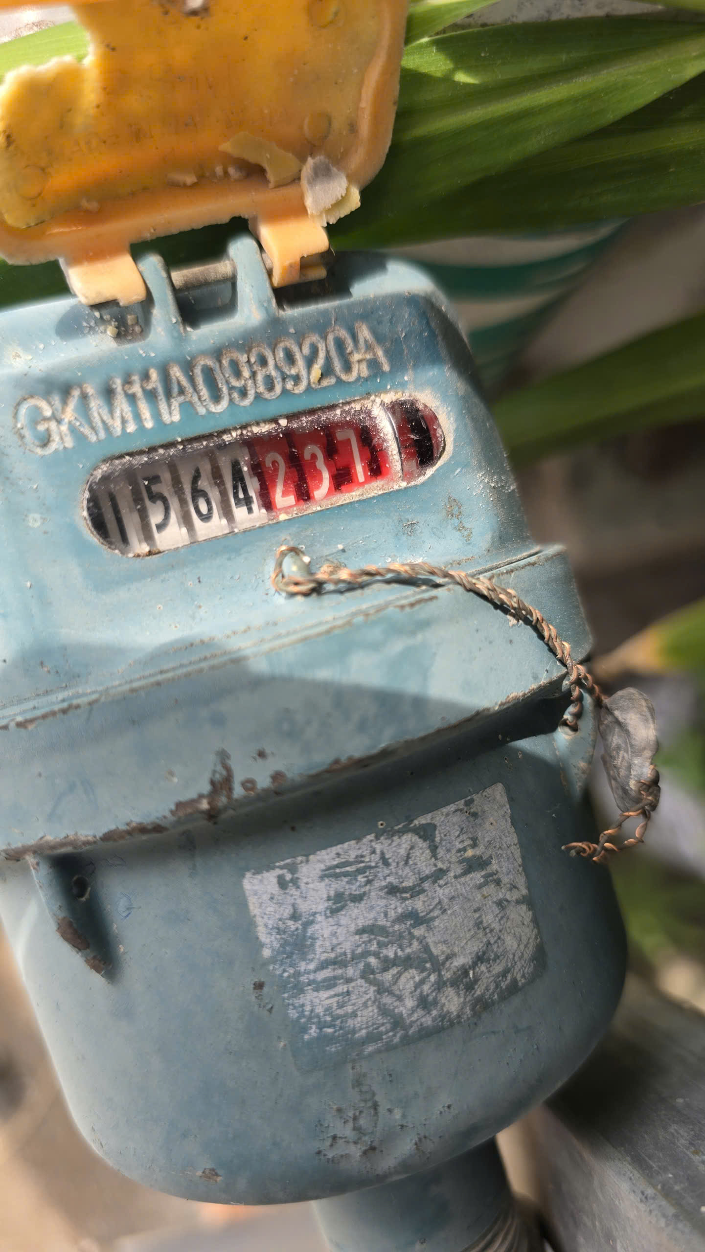 Chính chủ cho thuê mặt bằng đẹp  huyện Cần Giuộc, tỉnh Long An