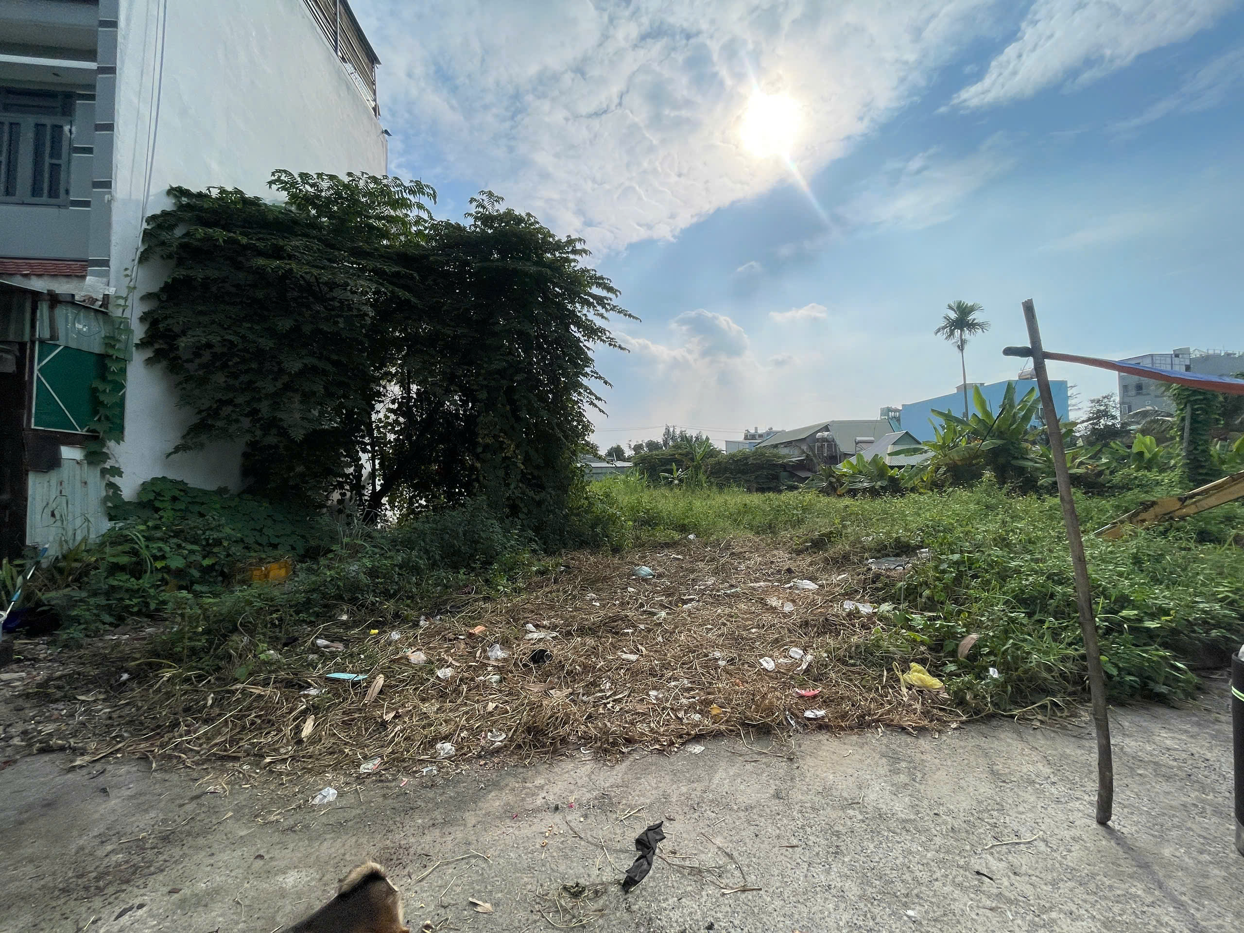 Chính chủ cần bán lô đất diện tích lớn 498m2 Quận 12 – Thạnh Lộc 47 – TL47