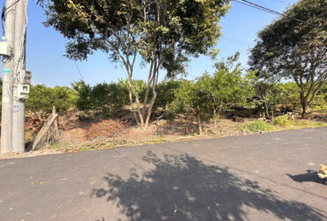 Chính chủ cần tiền gấp bán trước Tết 3.328m2 đất xã Hoà Hội: