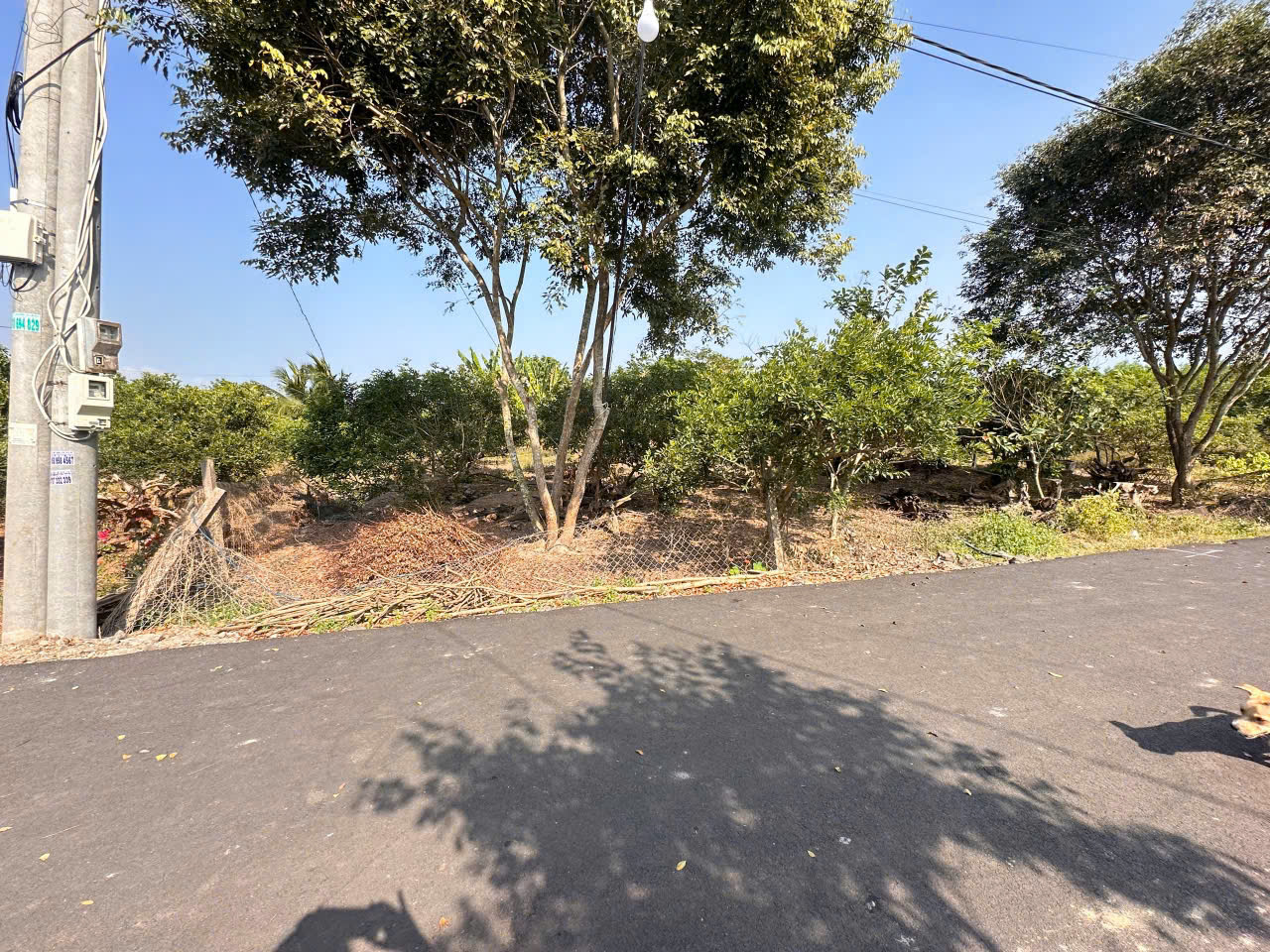 Chính chủ cần tiền gấp bán trước Tết 3.328m2 đất xã Hoà Hội: