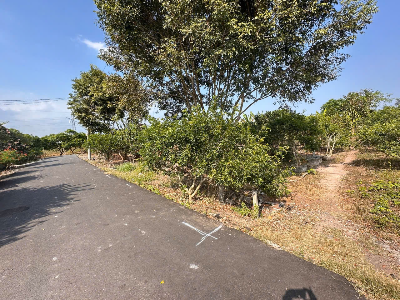 Chính chủ cần tiền gấp bán trước Tết 3.328m2 đất xã Hoà Hội: