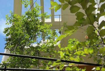 ‼️ Thích Quảng Đức Phú Nhuận – Hẻm đẹp yên tĩnh – 34m2 nở hậu – chỉ hơn 5 tỷ