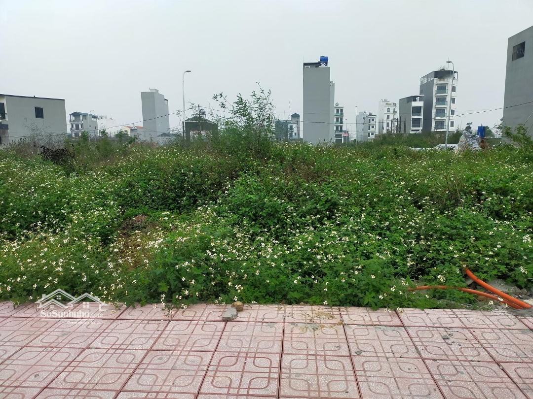 Đất dịch vụ Song Phương Hoài Đức dt78m2, mặt tiền 5,1m, đường 12m, giá chỉ 143tr/m2