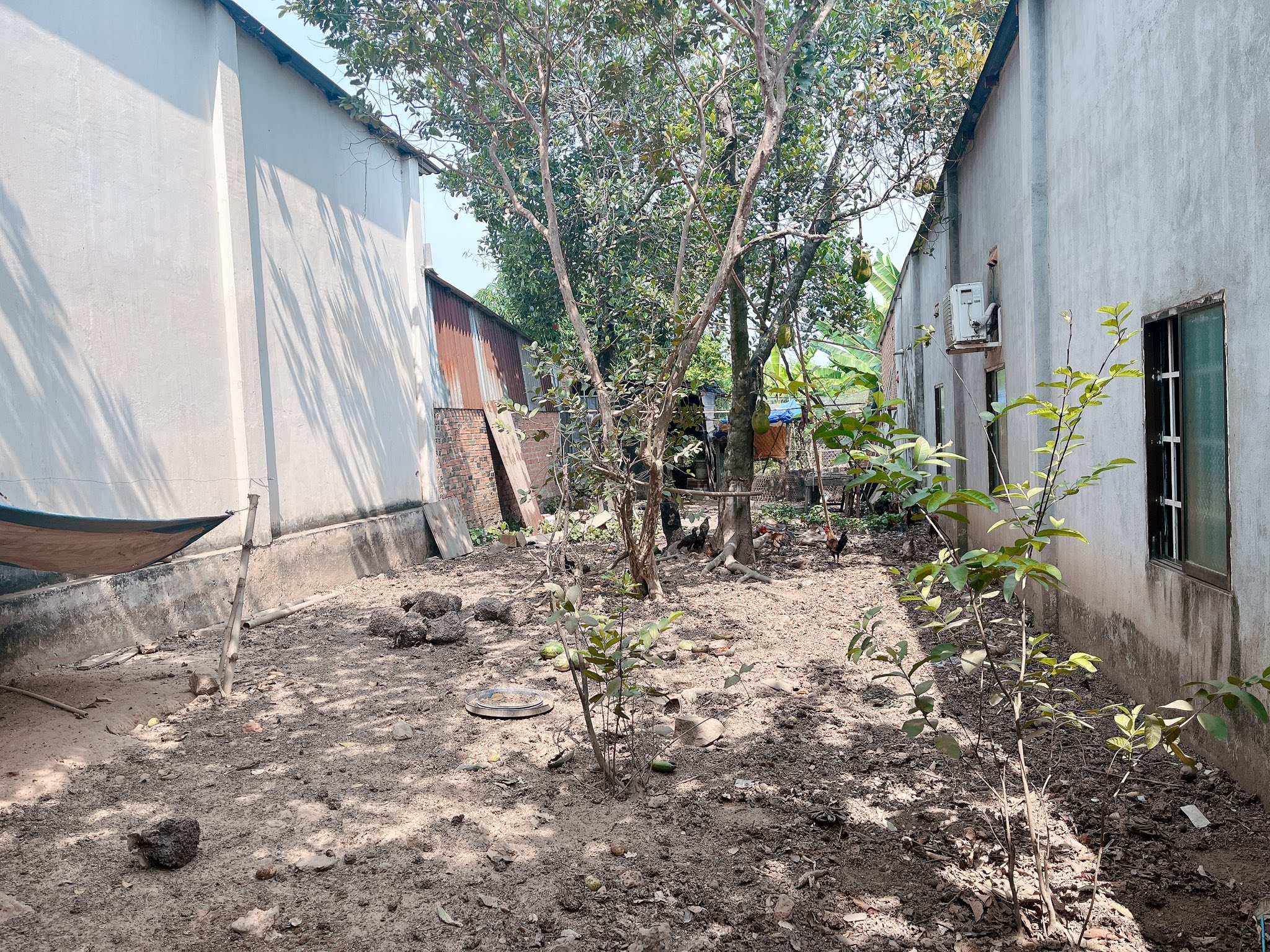 Chính chủ bán gấp đất giá tốt tại Chánh Phú Hoà, Bến Cát.