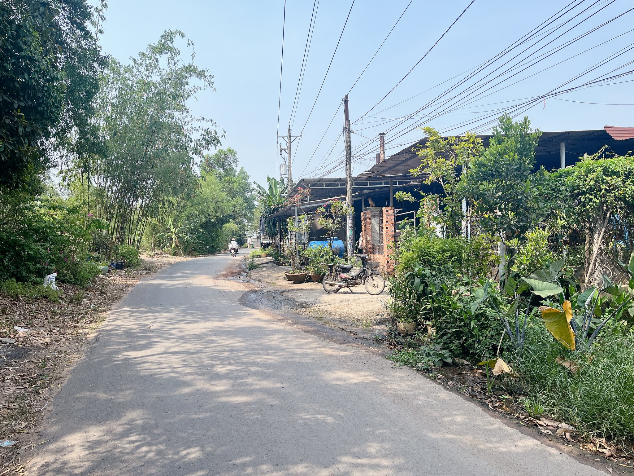 Chính chủ bán gấp đất giá tốt tại Chánh Phú Hoà, Bến Cát.