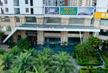 Khai Xuân Chỉ Vàng Lộc Lá Cả Năm- Còn 2 Suất Ngoại Giao Giá Tốt Nhất Tecco Elite, HTLS 0%/15th