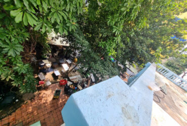 Cho thuê Biệt thự sân vườn 306 Nguyễn Trọng Tuyển, P1, Quận Tân Bình