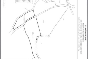 Bán đất vườn cà phê tại Đà Lạt – Nam Ban, Lâm Hà