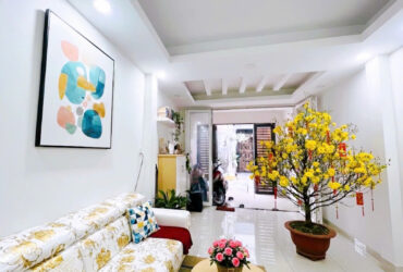 Nhà hẻm Ô tô Cách Mạng Tháng Tám – QUẬN TÂN BÌNH – 3.5 x 17.5 m (59 m2) – 3 Tầng – 8,6 tỷ