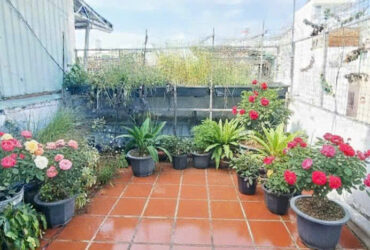 Nhà Hòa Hưng – QUẬN 10 – 4.5 x 15 m (41 m2) – 4 Tầng – 7.8 tỷ