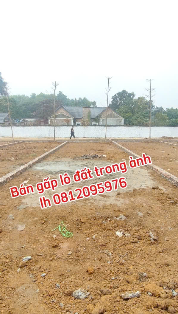 Bán rẻ mảnh đất 105m2 gần Hòa Lạc, kinh doanh trọ cực đỉnh