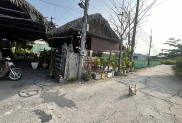 Cần bán gấp lô đất tổng 1000m² tách 4 lô thổ cư Long Hậu Cần Giuộc.